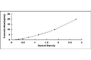 Typical standard curve (MYH2 ELISA 试剂盒)