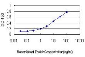 ELISA image for anti-Signal Transducer and Activator of Transcription 3 (Acute-Phase Response Factor) (STAT3) (AA 670-769) antibody (ABIN563028)