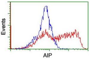 Image no. 2 for anti-Aryl Hydrocarbon Receptor Interacting Protein (AIP) antibody (ABIN1496677) (AIP 抗体)