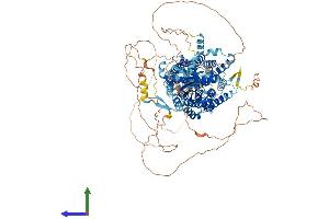 Protein Structure (PS) image for Solute Carrier Family 26 (Sulfate Transporter), Member 8 (SLC26A8) (AA 1-999) protein (His tag) (ABIN7564683)