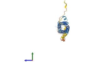 AlphaFold protein structure predicition of Human Recombinant SYNGR3 Protein, UniprotID O43761