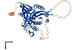 ATG4A Protein (AA 1-398) (His tag)