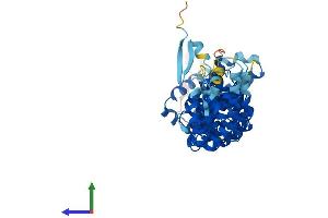 Protein Structure (PS) image for Ataxin 10 (ATXN10) (AA 1-475) protein (His tag) (ABIN7552643)