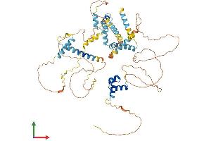AlphaFold protein structure predicition of Human Recombinant LCORL Protein, UniprotID Q8N3X6