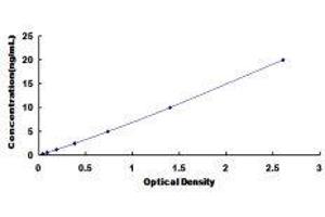 Myogenin (Myogenic Factor 4) (MYOG) ELISA Kit