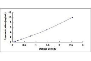 Typical standard curve (CD99 ELISA 试剂盒)