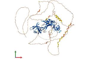 Protein Structure (PS) image for Cytoplasmic Polyadenylation Element Binding Protein 3 (CPEB3) (AA 1-698) protein (His tag) (ABIN7546672)