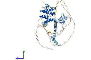 Protein Structure (PS) image for Signal Transducing Adaptor Molecule (SH3 Domain and ITAM Motif) 2 (STAM2) (AA 1-525) protein (His tag) (ABIN7555618)