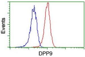 Flow cytometric Analysis of Jurkat cells, using anti-DPP9 antibody (ABIN2455322), (Red), compared to a nonspecific negative control antibody, (Blue). (DPP9 抗体)