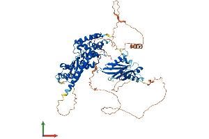 Protein Structure (PS) image for Spermatid Perinuclear RNA Binding Protein (STRBP) (AA 1-672) protein (His tag) (ABIN7546376)
