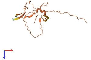 AlphaFold protein structure predicition of Human Recombinant DIAPH2-AS1 Protein, UniprotID Q14236