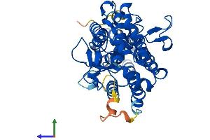 AlphaFold protein structure predicition of Human Recombinant IDO1 Protein, UniprotID P14902