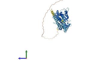 Protein Structure (PS) image for Atlastin GTPase 2 (ATL2) (AA 1-583) protein (His tag) (ABIN7552402)
