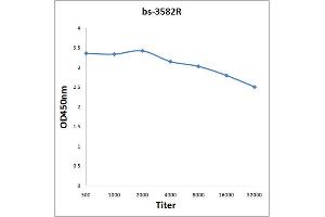 Antigen: 0. (TRIM33 抗体  (AA 981-1127))