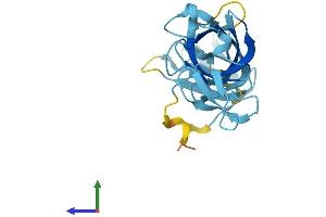 AlphaFold protein structure predicition of Mouse Recombinant Exosc1 Protein, UniprotID Q9DAA6