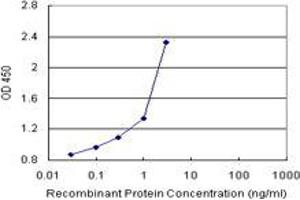 THTPA (Human) Matched Antibody Pair