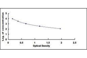 ELISA image for Ghrelin (GHRL) ELISA Kit (ABIN424138)
