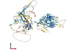 AlphaFold protein structure predicition of Mouse Recombinant Cc2d2a Protein, UniprotID Q8CFW7 (CC2D2A Protein (AA 1-1633) (His tag))