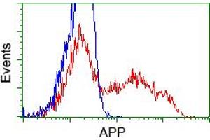 Image no. 4 for anti-Amyloid beta (A4) Precursor Protein (APP) antibody (ABIN1496879) (APP 抗体)