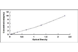 Typical standard curve (Oncostatin M Receptor ELISA 试剂盒)