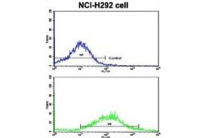 Flow Cytometry (FACS) image for anti-K-Cadherin (CDH6) antibody (ABIN2997777) (CDH6 抗体)