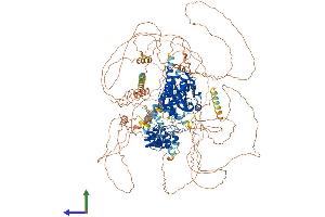 AlphaFold protein structure predicition of Mouse Recombinant Tex14 Protein, UniprotID Q7M6U3