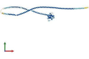Protein Structure (PS) image for NUF2, NDC80 Kinetochore Complex Component (NUF2) (AA 1-463) protein (His tag) (ABIN7560453)
