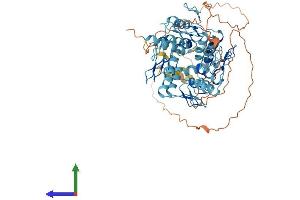 Protein Structure (PS) image for Zinc Finger Protein 543 (ZNF543) (AA 1-600) protein (His tag) (ABIN7545560)