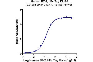 ELISA image for CD86 (CD86) (AA 26-247) protein (Fc Tag) (ABIN7273897)