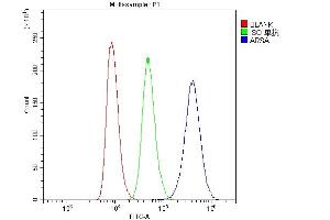 Flow Cytometry analysis of Raji cells using anti-ARSA antibody (ABIN5692787).