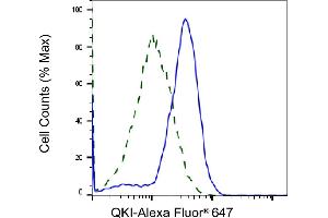 Validation of QKI knockdown using flow cytometry. (Recombinant QKI 抗体)