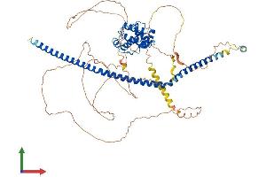AlphaFold protein structure predicition of Human Recombinant TRAF3IP1 Protein, UniprotID Q8TDR0