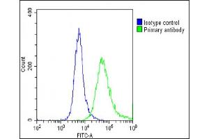 Overlay histogram showing U-87 MG cells stained with (ABIN6242848 and ABIN6578683)(green line). (GNG3 抗体  (AA 39-69))