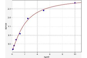 PCNA ELISA 试剂盒