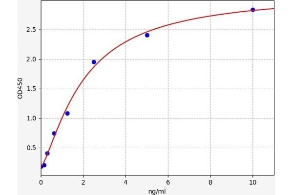 PCNA ELISA 试剂盒