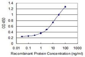 Detection limit for recombinant GST tagged HIST1H4H is 0. (HIST1H4H 抗体  (AA 31-103))