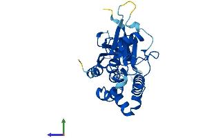 Protein Structure (PS) image for ATG5 Autophagy Related 5 (ATG5) (AA 1-275) protein (His tag) (ABIN7552466)