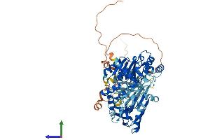 AlphaFold protein structure predicition of Human Recombinant PIF1 Protein, UniprotID Q9H611