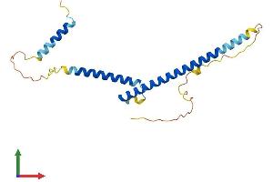 AlphaFold protein structure predicition of Human Recombinant MXD3 Protein, UniprotID Q9BW11