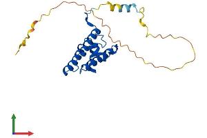 AlphaFold protein structure predicition of Human Recombinant GFER Protein, UniprotID P55789