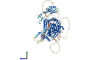 AlphaFold protein structure predicition of Human Recombinant TUT1 Protein, UniprotID Q9H6E5