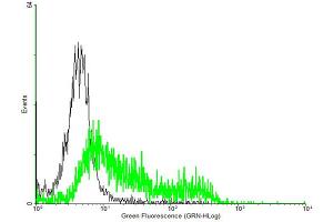 FACS analysis of negative control 293 cells (Black) and IL4R expressing 293 cells (Green) using IL4R purified MaxPab mouse polyclonal antibody. (IL4 Receptor 抗体  (AA 1-227))