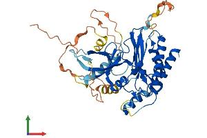 Protein Structure (PS) image for Inositol Hexakisphosphate Kinase 3 (IP6K3) (AA 1-410) protein (His tag) (ABIN7548583)
