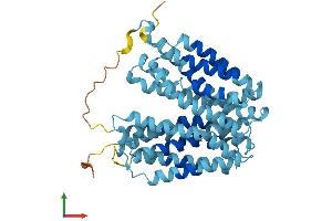 Protein Structure (PS) image for Solute Carrier Family 37 (Glucose-6-Phosphate Transporter), Member 4 (SLC37A4) (AA 1-429) protein (His tag) (ABIN7553961)