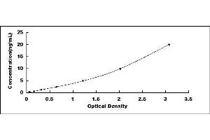 Typical standard curve (p300 ELISA 试剂盒)