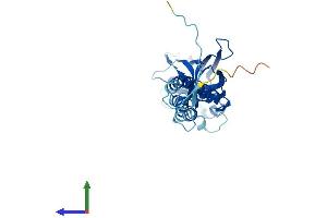 AlphaFold protein structure predicition of Mouse Recombinant Tmem231 Protein, UniprotID Q3U284