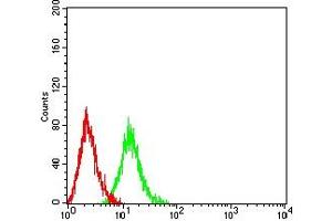 Flow cytometric analysis of HL-60 cells using LILRB5 mouse mAb (green) and negative control (red).