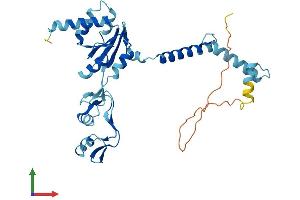 Protein Structure (PS) image for Ribosomal Protein, Large, P0 (RPLP0) (AA 1-317) protein (His tag) (ABIN7551439)