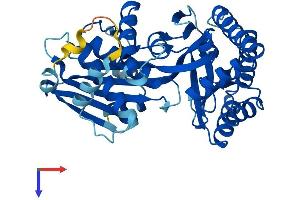 MVK Protein (AA 1-396) (His tag)