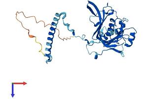 RPF1 Protein (AA 1-349) (His tag)